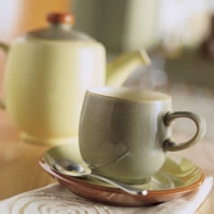 Denby Fire - Leeuwin.nl