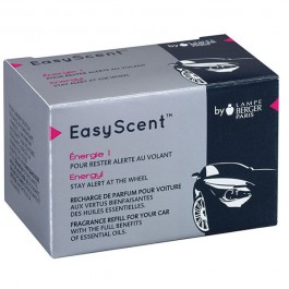 EasyScent  Voiture - Leeuwin.nl