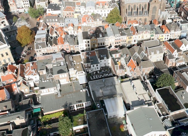 Leeuwin.nl in de schaduw van de Dom - Leeuwin.nl